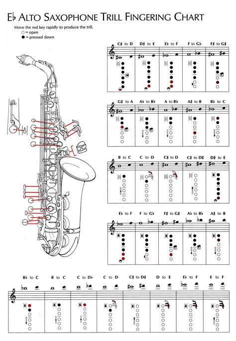 saxophone note chart|saxophone basic notes.